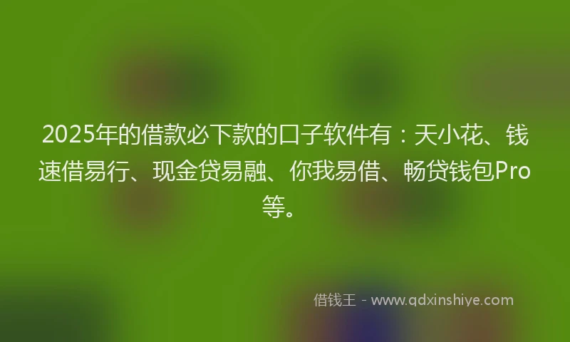 2025年的借款必下款的口子软件有：天小花、钱速借易行、现金贷易融、你我易借、畅贷钱包Pro等。