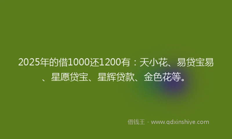 2025年的借1000还1200有：天小花、易贷宝易、星愿贷宝、星辉贷款、金色花等。