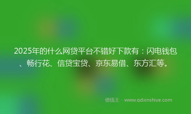 2025年的什么网贷平台不错好下款有：闪电钱包、畅行花、信贷宝贷、京东易借、东方汇等。