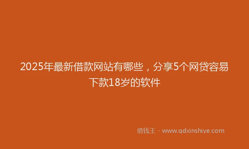 2025年最新借款网站有哪些，分享5个网贷容易下款18岁的软件