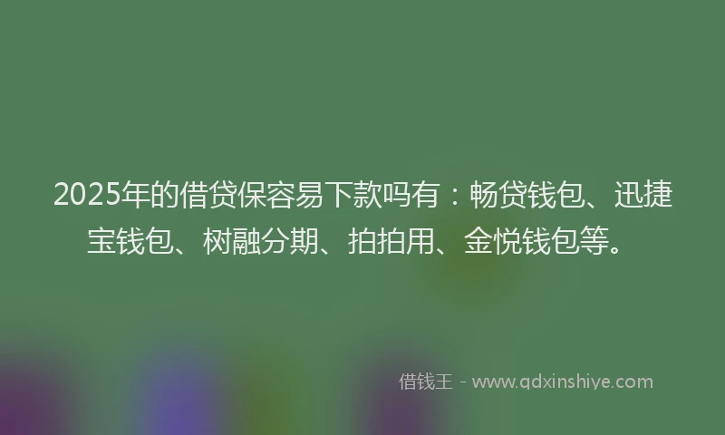 2025年的借贷保容易下款吗有：畅贷钱包、迅捷宝钱包、树融分期、拍拍用、金悦钱包等。