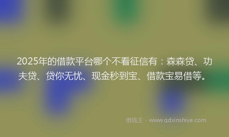 2025年的借款平台哪个不看征信有：森森贷、功夫贷、贷你无忧、现金秒到宝、借款宝易借等。