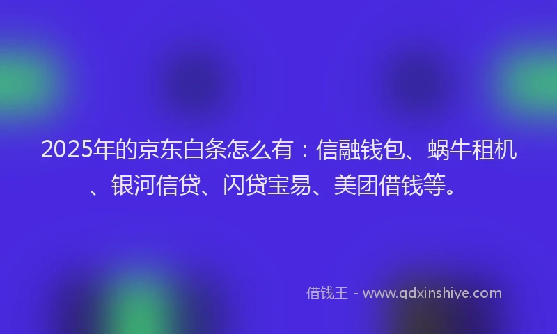2025年的京东白条怎么有：信融钱包、蜗牛租机、银河信贷、闪贷宝易、美团借钱等。
