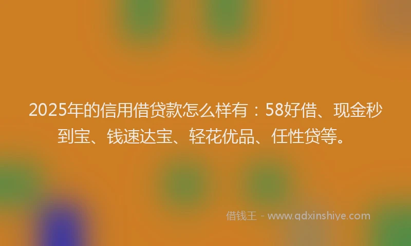 2025年的信用借贷款怎么样有：58好借、现金秒到宝、钱速达宝、轻花优品、任性贷等。