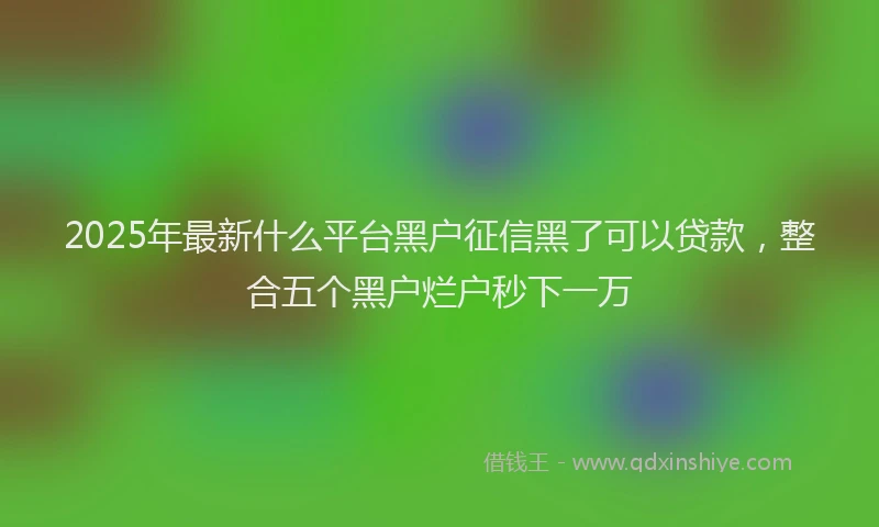 2025年最新什么平台黑户征信黑了可以贷款，整合五个黑户烂户秒下一万