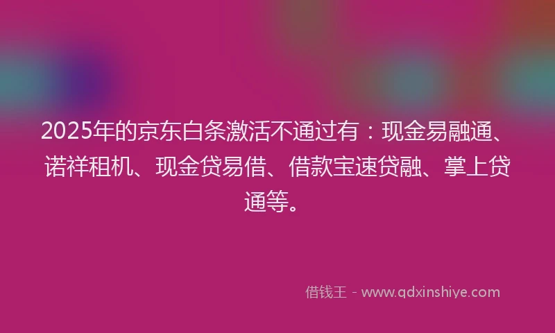 2025年的京东白条激活不通过有：现金易融通、诺祥租机、现金贷易借、借款宝速贷融、掌上贷通等。