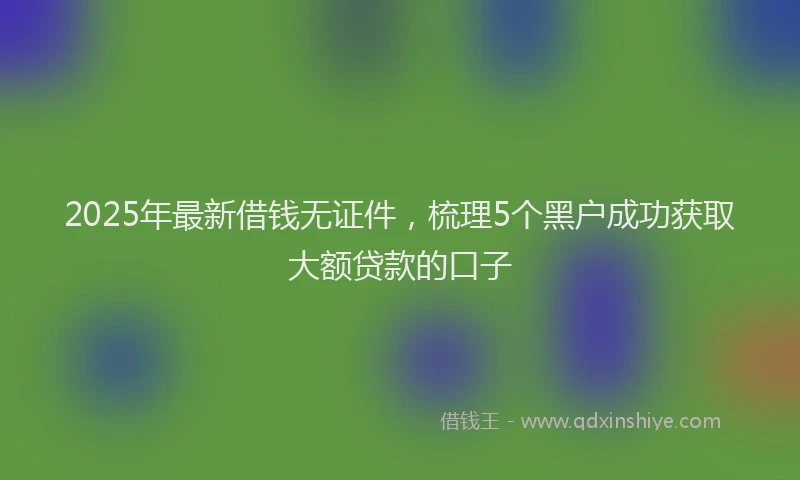 2025年最新借钱无证件，梳理5个黑户成功获取大额贷款的口子