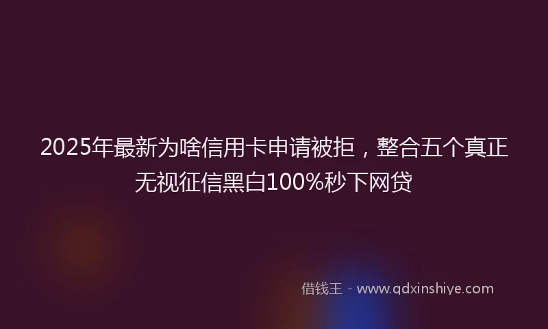2025年最新为啥信用卡申请被拒，整合五个真正无视征信黑白100%秒下网贷