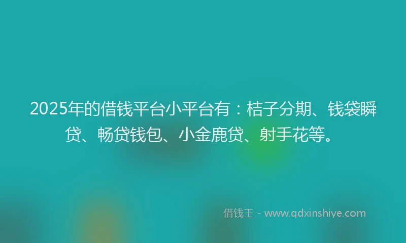 2025年的借钱平台小平台有：桔子分期、钱袋瞬贷、畅贷钱包、小金鹿贷、射手花等。
