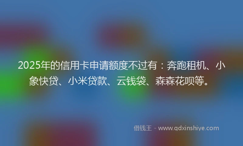 2025年的信用卡申请额度不过有：奔跑租机、小象快贷、小米贷款、云钱袋、森森花呗等。