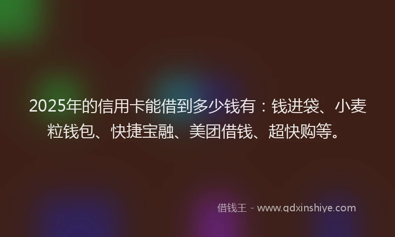 2025年的信用卡能借到多少钱有：钱进袋、小麦粒钱包、快捷宝融、美团借钱、超快购等。