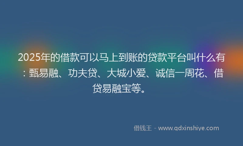2025年的借款可以马上到账的贷款平台叫什么有：甄易融、功夫贷、大城小爱、诚信一周花、借贷易融宝等。