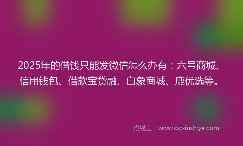 2025年的借钱只能发微信怎么办有：六号商城、信用钱包、借款宝贷融、白象商城、鹿优选等。