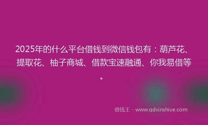 2025年的什么平台借钱到微信钱包有：葫芦花、提取花、柚子商城、借款宝速融通、你我易借等。