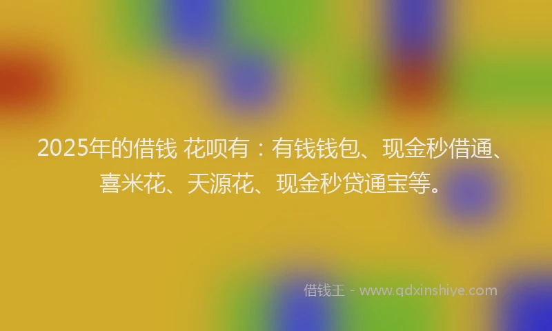 2025年的借钱 花呗有：有钱钱包、现金秒借通、喜米花、天源花、现金秒贷通宝等。