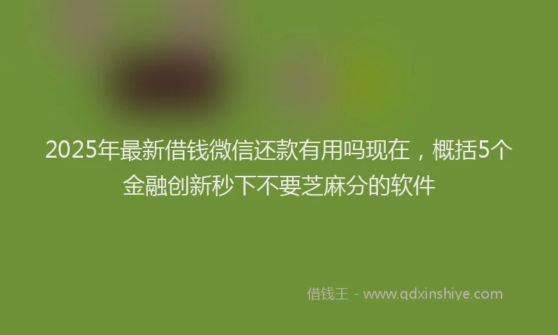 2025年最新借钱微信还款有用吗现在，概括5个金融创新秒下不要芝麻分的软件