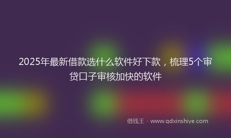 2025年最新借款选什么软件好下款，梳理5个审贷口子审核加快的软件