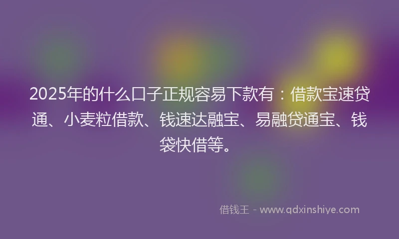 2025年的什么口子正规容易下款有：借款宝速贷通、小麦粒借款、钱速达融宝、易融贷通宝、钱袋快借等。