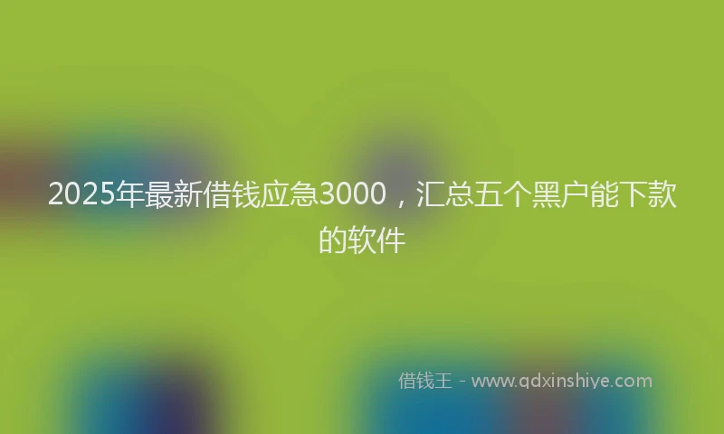 2025年最新借钱应急3000，汇总五个黑户能下款的软件
