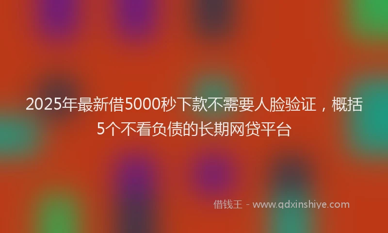 2025年最新借5000秒下款不需要人脸验证，概括5个不看负债的长期网贷平台
