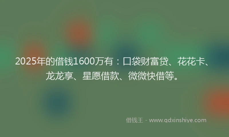 2025年的借钱1600万有：口袋财富贷、花花卡、龙龙享、星愿借款、微微快借等。