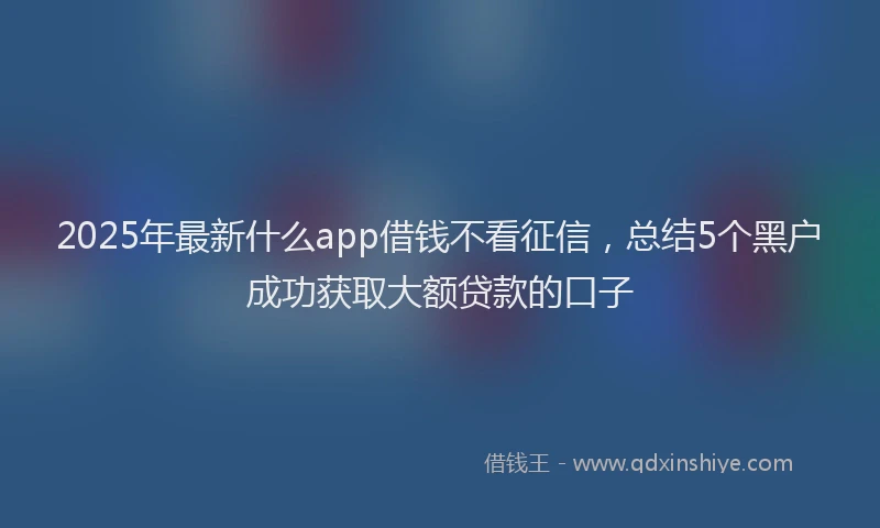 2025年最新什么app借钱不看征信，总结5个黑户成功获取大额贷款的口子