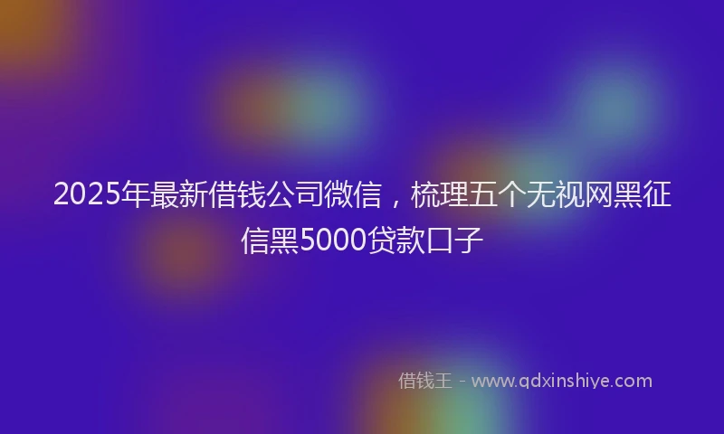 2025年最新借钱公司微信，梳理五个无视网黑征信黑5000贷款口子