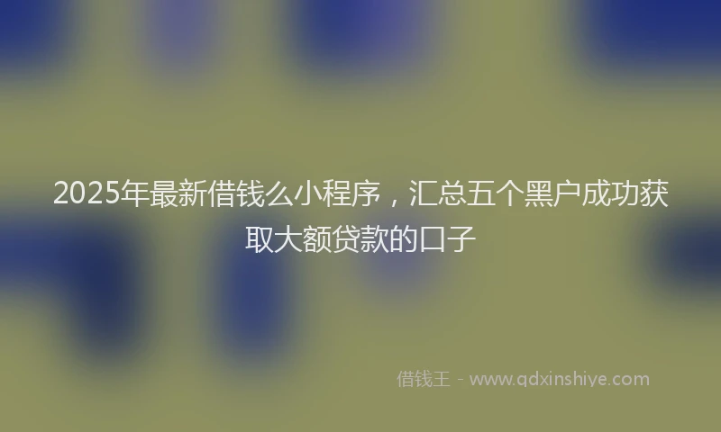 2025年最新借钱么小程序，汇总五个黑户成功获取大额贷款的口子