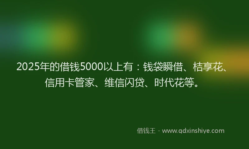 2025年的借钱5000以上有：钱袋瞬借、桔享花、信用卡管家、维信闪贷、时代花等。