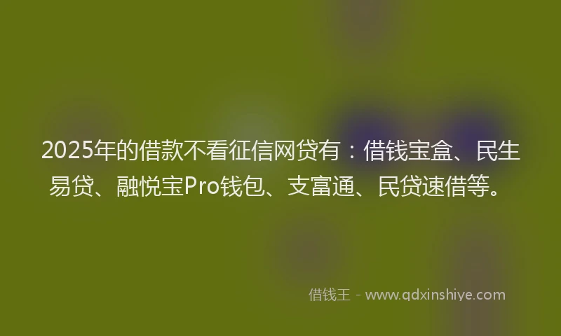 2025年的借款不看征信网贷有：借钱宝盒、民生易贷、融悦宝Pro钱包、支富通、民贷速借等。