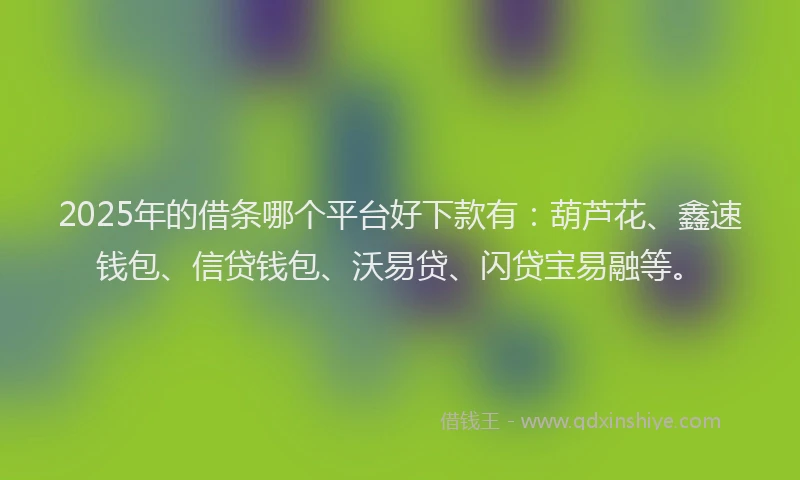 2025年的借条哪个平台好下款有：葫芦花、鑫速钱包、信贷钱包、沃易贷、闪贷宝易融等。