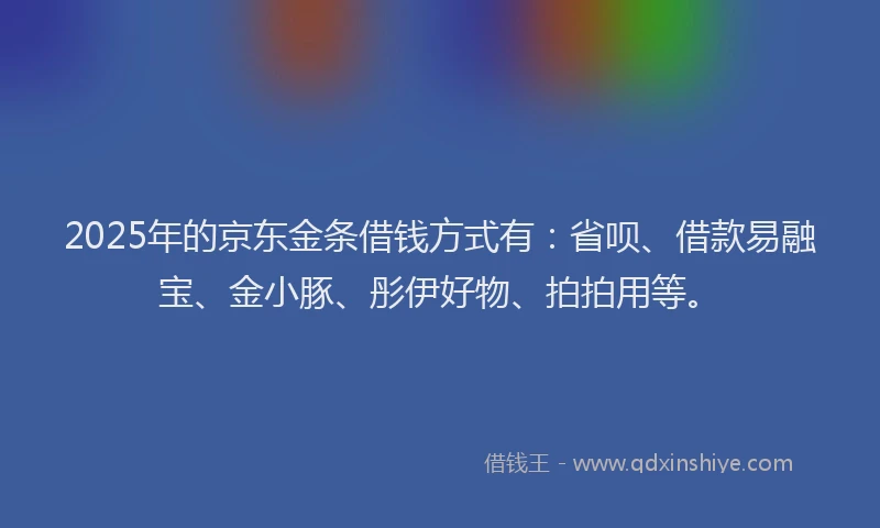 2025年的京东金条借钱方式有：省呗、借款易融宝、金小豚、彤伊好物、拍拍用等。