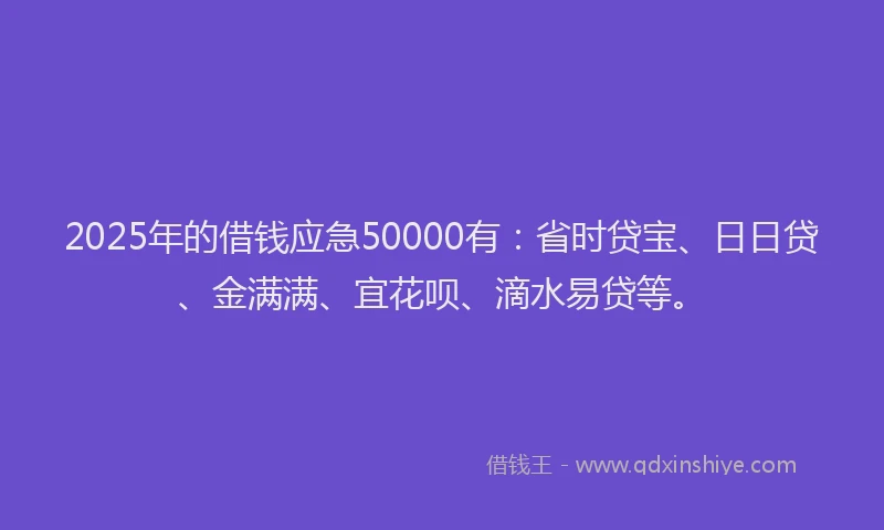 2025年的借钱应急50000有：省时贷宝、日日贷、金满满、宜花呗、滴水易贷等。