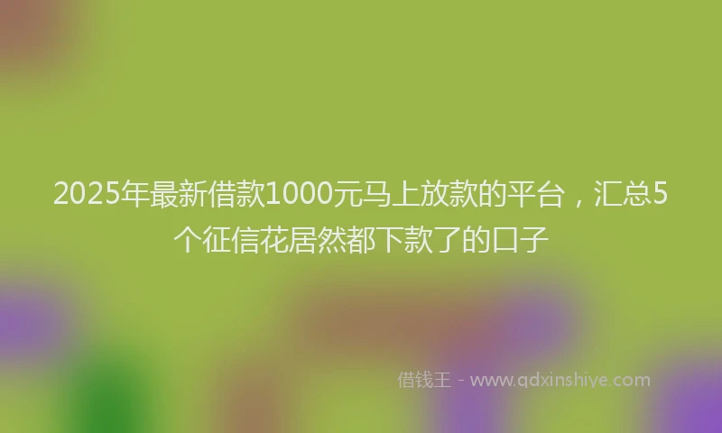 2025年最新借款1000元马上放款的平台，汇总5个征信花居然都下款了的口子
