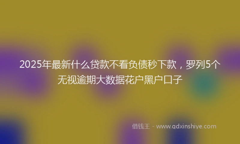 2025年最新什么贷款不看负债秒下款，罗列5个无视逾期大数据花户黑户口子