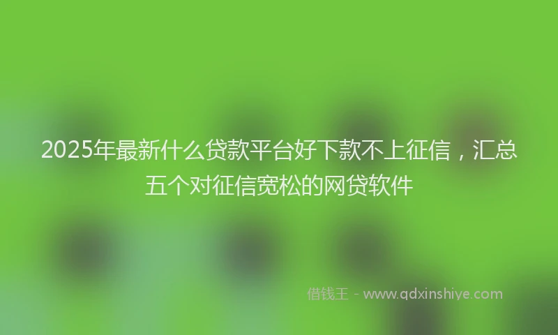 2025年最新什么贷款平台好下款不上征信，汇总五个对征信宽松的网贷软件