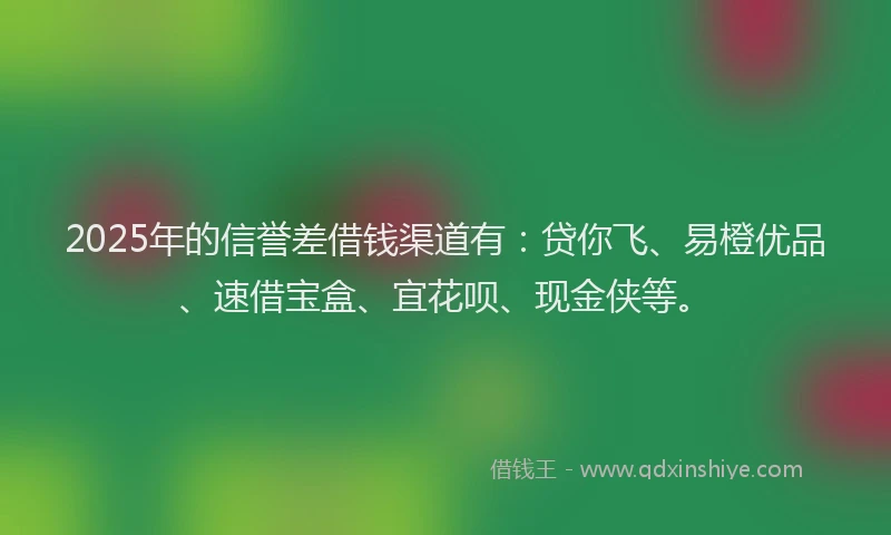 2025年的信誉差借钱渠道有：贷你飞、易橙优品、速借宝盒、宜花呗、现金侠等。