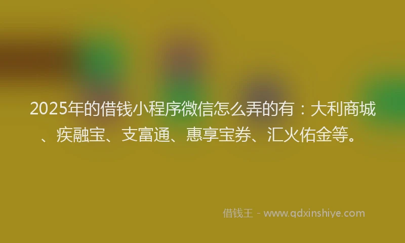 2025年的借钱小程序微信怎么弄的有：大利商城、疾融宝、支富通、惠享宝券、汇火佑金等。