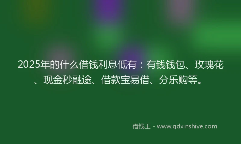 2025年的什么借钱利息低有：有钱钱包、玫瑰花、现金秒融途、借款宝易借、分乐购等。
