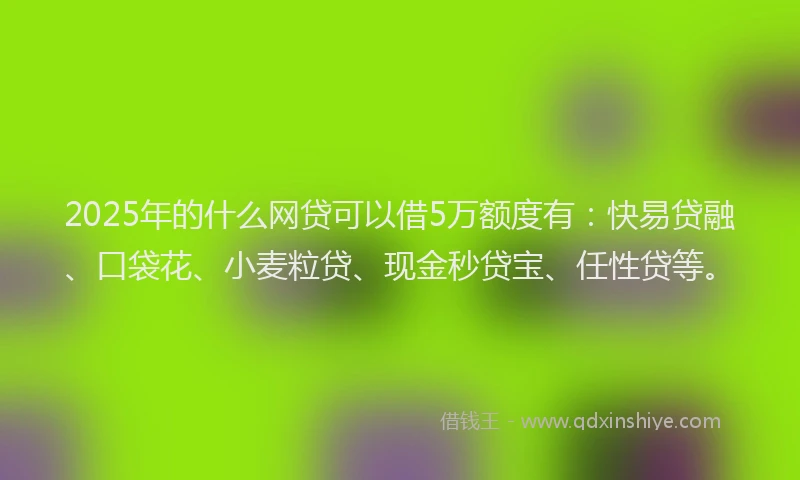2025年的什么网贷可以借5万额度有：快易贷融、口袋花、小麦粒贷、现金秒贷宝、任性贷等。