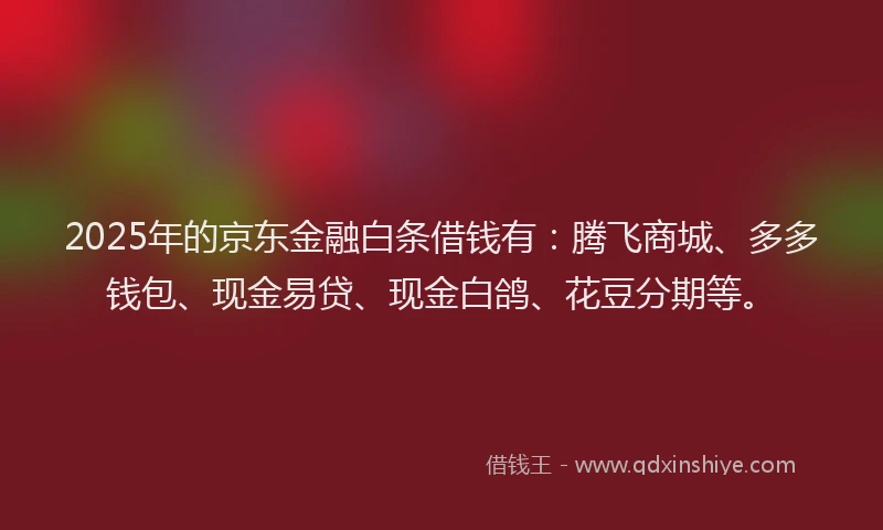 2025年的京东金融白条借钱有：腾飞商城、多多钱包、现金易贷、现金白鸽、花豆分期等。