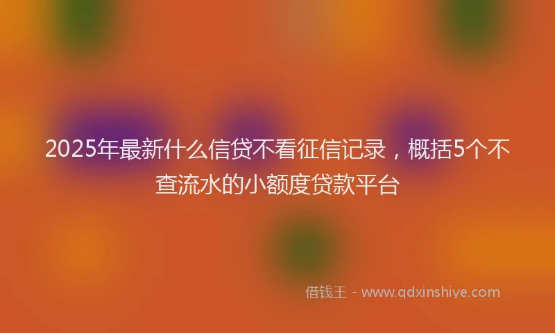 2025年最新什么信贷不看征信记录，概括5个不查流水的小额度贷款平台