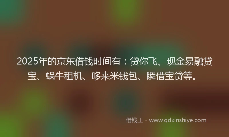 2025年的京东借钱时间有：贷你飞、现金易融贷宝、蜗牛租机、哆来米钱包、瞬借宝贷等。