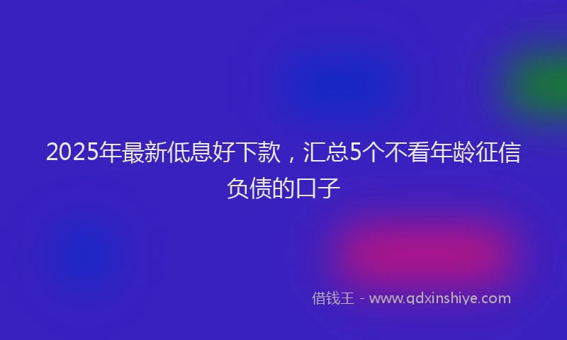 2025年最新低息好下款，汇总5个不看年龄征信负债的口子