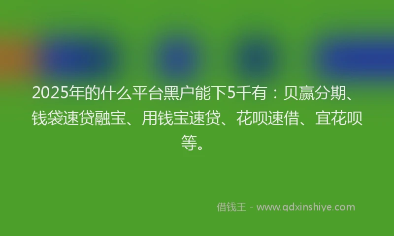 2025年的什么平台黑户能下5千有：贝赢分期、钱袋速贷融宝、用钱宝速贷、花呗速借、宜花呗等。