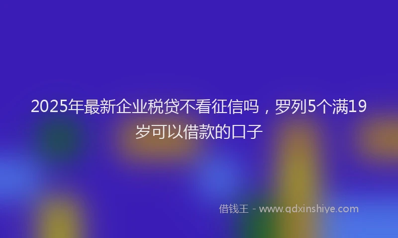 2025年最新企业税贷不看征信吗，罗列5个满19岁可以借款的口子