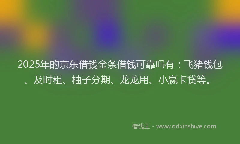2025年的京东借钱金条借钱可靠吗有：飞猪钱包、及时租、柚子分期、龙龙用、小赢卡贷等。