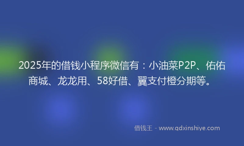 2025年的借钱小程序微信有：小油菜P2P、佑佑商城、龙龙用、58好借、翼支付橙分期等。