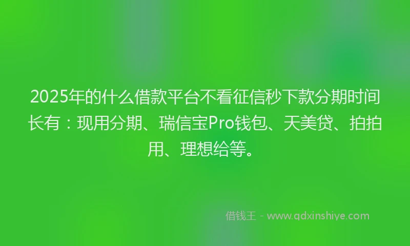 2025年的什么借款平台不看征信秒下款分期时间长有：现用分期、瑞信宝Pro钱包、天美贷、拍拍用、理想给等。