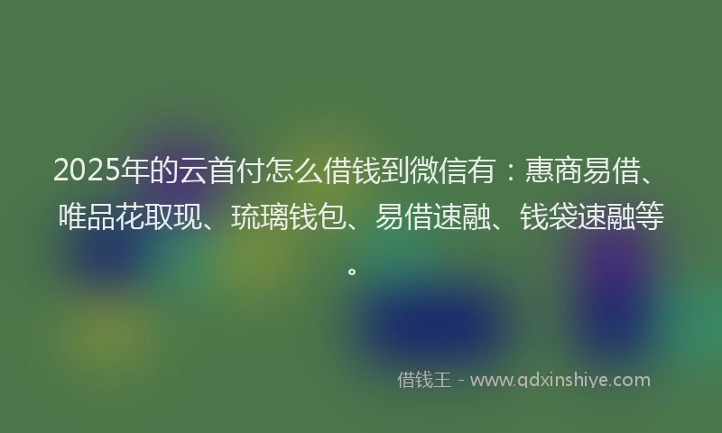 2025年的云首付怎么借钱到微信有：惠商易借、唯品花取现、琉璃钱包、易借速融、钱袋速融等。